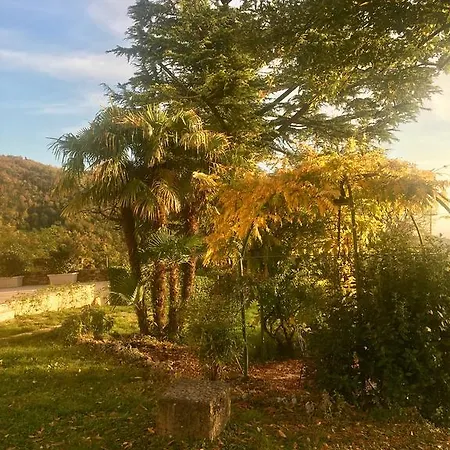 Al Sicomoro Grezzana